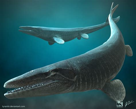 what is mosasaurus hoffmanni.